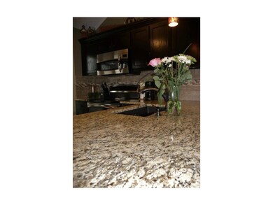 Granite counters and under-mount sink.