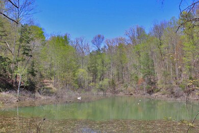 4140 Highway 1643, Somerset, KY 42501 - photo 5