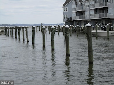 313 Red Head Way unit B, Havre de Grace, MD 21078 - photo 7