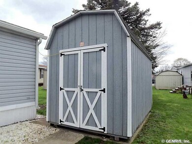 Shed. New Wood-Tex Shed!