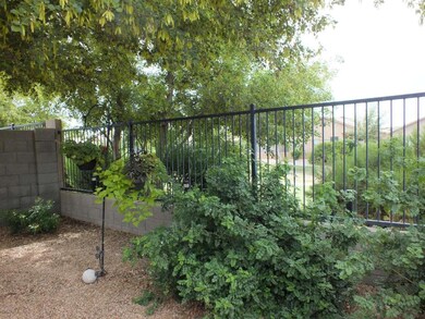 Southeast corner of back yard
