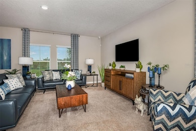 34462 Moonflower Ave, Wesley Chapel, FL 33545 - photo 7