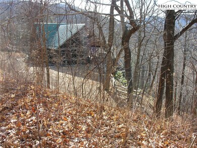 Lot 238 begins at end of fence and continues down