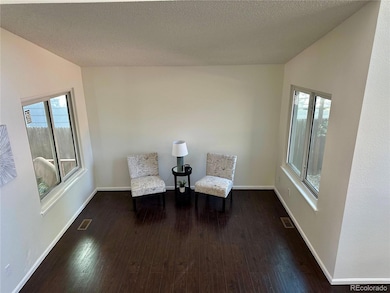 13398 Race St, Thornton, CO 80241 - photo 3