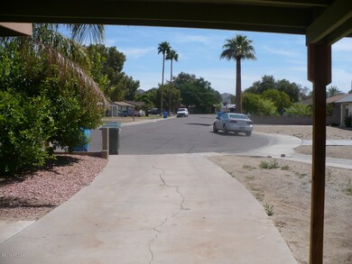 View from Carport