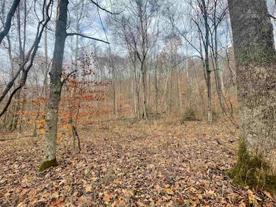 TBD Sand Fork Rd, Walkersville, WV 26447 - photo 2