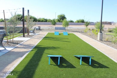 Thunderbird Cornhole
