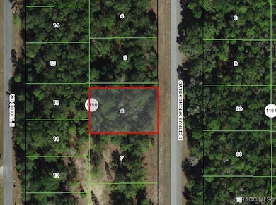 1471 E Citrus Springs Blvd, Citrus Springs, FL 34434 - photo 2