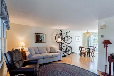 Living / Dining Area