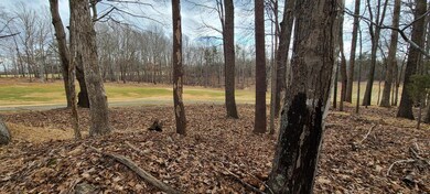 20220217_135429 (Large)