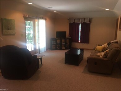 Basement family room