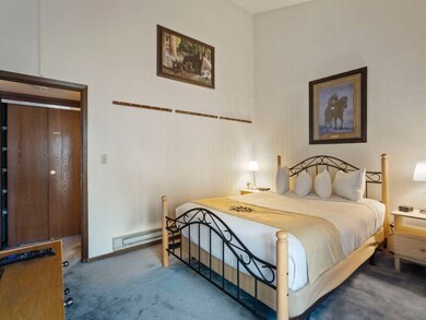 Bedroom with carpet floors and baseboard heating