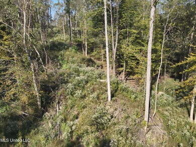 DJI_20241007101128_0017_V