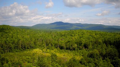 0 Turkey Hill Rd unit 4808331, Newport, NH 03773 - photo 3