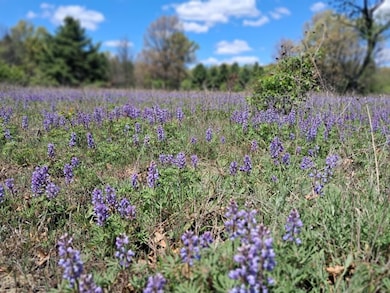 10.01AC Barberry Ave, Brooks Township, MI 49337 - photo 2