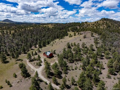 172 Wolfe Rd, Hartsel, CO 80449 - photo 5