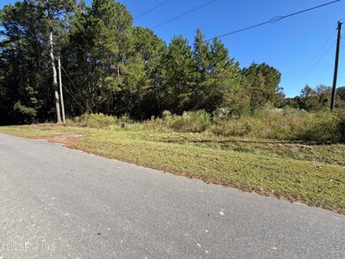 TBD Tharpe Rd, Little River, SC 29566 - photo 3