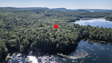 13 & 16 Joyal Hill Ln, Casco, ME 04015 - photo 6