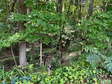 IMG-5011