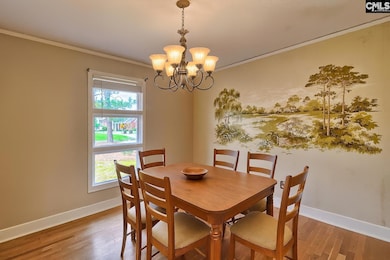 909 Camelot Dr, West Columbia, SC 29170 - photo 7