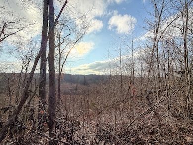 00 Hellsneck Rd, Waverly, TN 37185 - photo 2