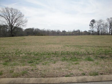LOT 47 Chippewa Ln, Rutledge, TN 37861 - photo 2
