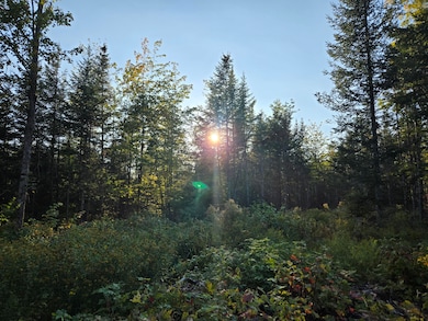 M2 L9-1 Solon Rd, Brighton Plantation, ME 04942 - photo 7