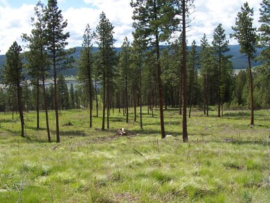 Nhn Tranquil Valley Trail, Kila, MT 59920 - photo 2