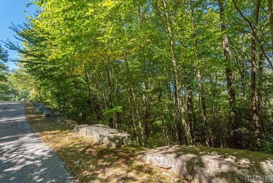 Lot 31 E Ridge Rd, Cashiers, NC 28717 - photo 4