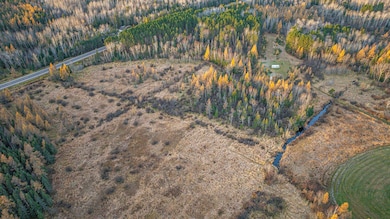 TBD Hwy 21, Babbitt, MN 55706 - photo 5