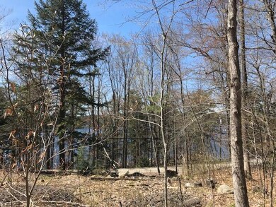 View through trees3