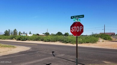 Palm & Piñon