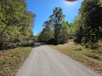 0 Newells Run Rd, Marietta, OH 45750 - photo 4