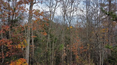 dji_fly_20241109_132116_591_173117671672