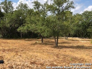 LOT 9 Angelica Vista, Canyon Lake, TX 78133 - photo 2