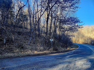 340 Lyle Wilson Rd, Cullowhee, NC 28723 - photo 5