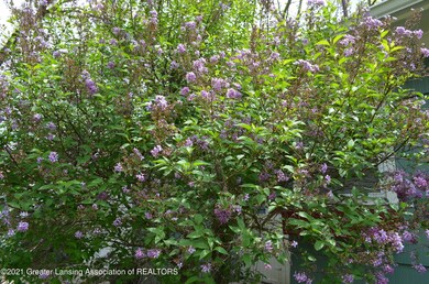 Flowering Bush