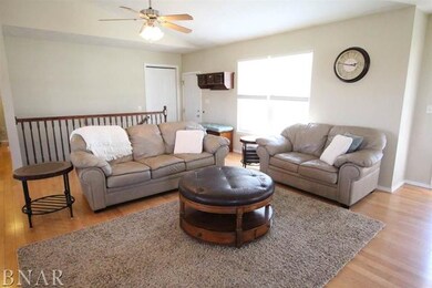 6 Oliver Ct, Downs, IL 61736 - photo 4