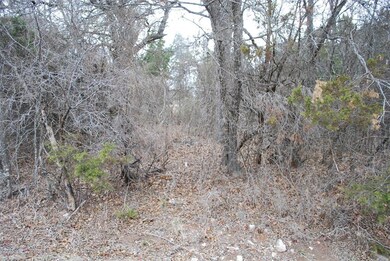 14067 Sandy Oaks Dr, Whitney, TX 76692 - photo 7