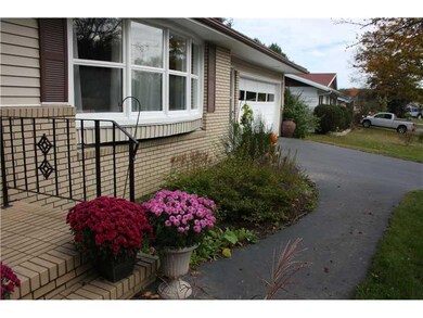 Yard/Garden.
