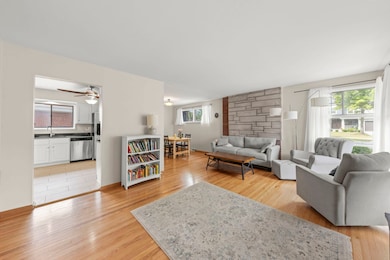 221 S Linden Ave, Elmhurst, IL 60126 - photo 4