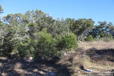 19415 Terra Mont, San Antonio, TX 78255 - photo 5