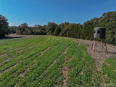 91.11 Acres Lollar Branch Rd, Sullivan, MO 63080 - photo 2