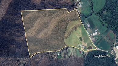 4445-3 Pine Grove Rd, Means, KY 40346 - photo 6