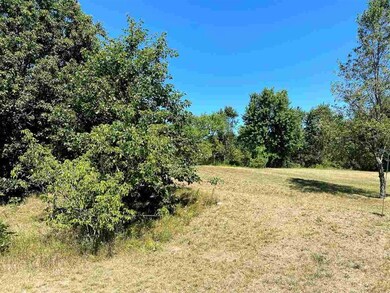 Lot 1 and 2 N Front St, Coloma, WI 54930 - photo 2