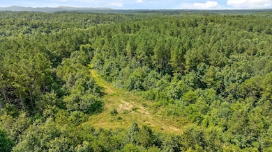 Tract 3 Conniston Rd, Chatsworth, GA 30705 - photo 5