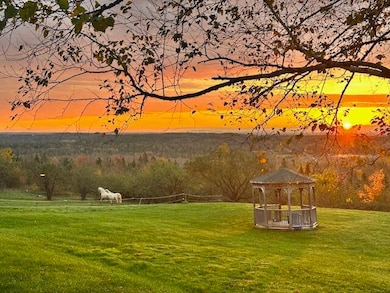 231 Station Rd, New Sweden, ME 04762 - photo 2