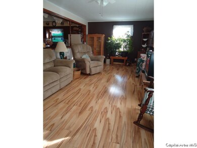 420 S East St, Virginia, IL 62691 - photo 2