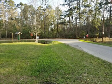 0 Morgan Cemetary Rd, Cleveland, TX 77328 - photo 2