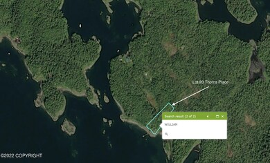 Lot 20 Block 2, Wrangell, AK 99929 - photo 7